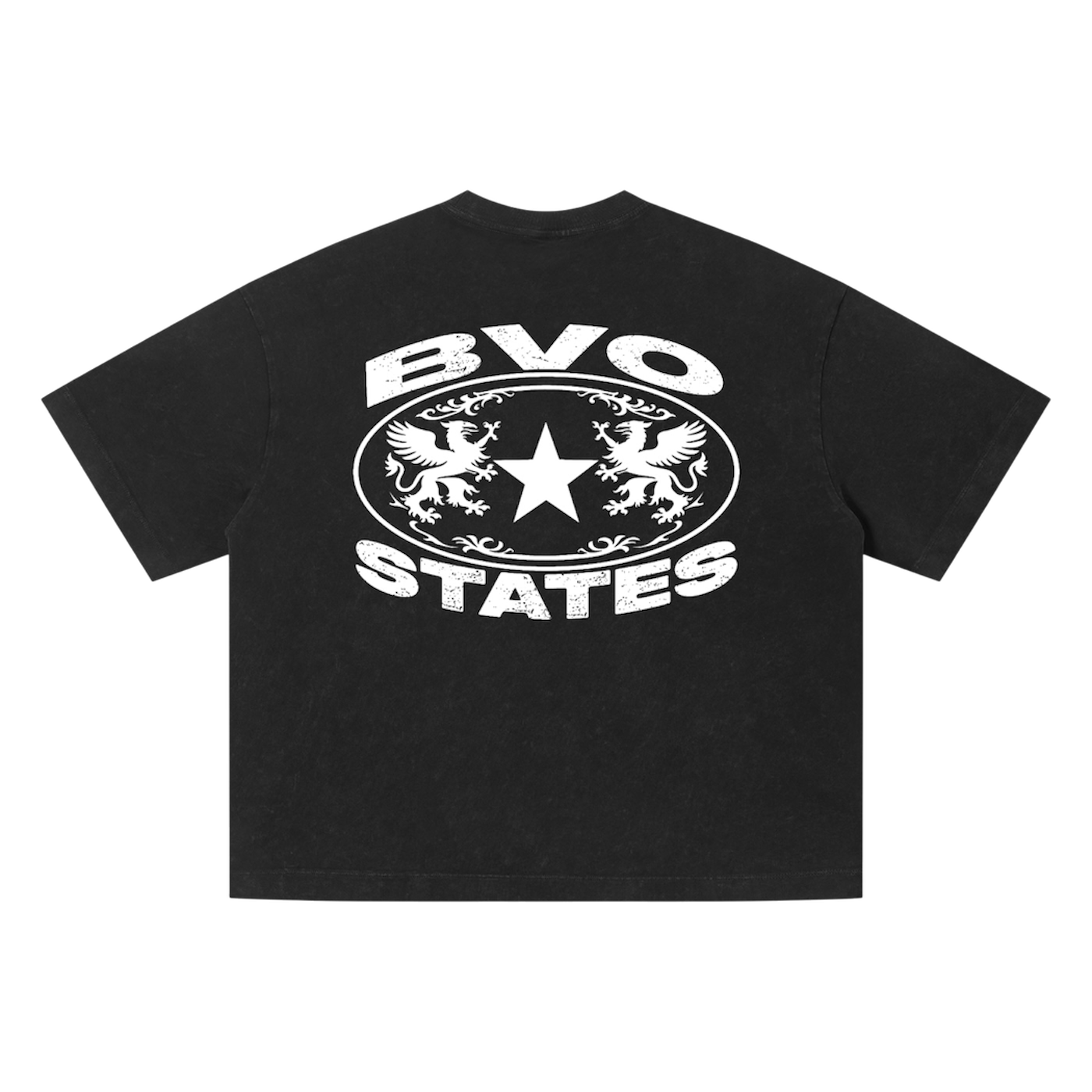BVO® STATES VINTAGE WASH TEE [BLACK]