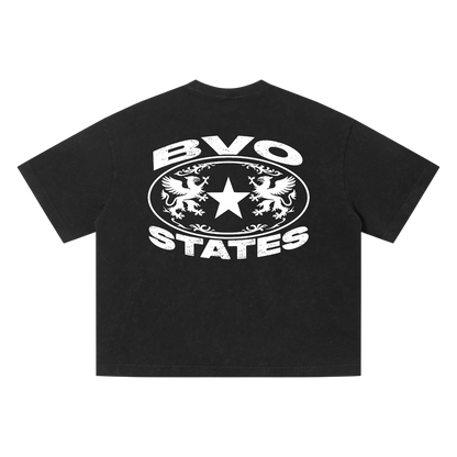 BVO® STATES VINTAGE WASH TEE [BLACK]