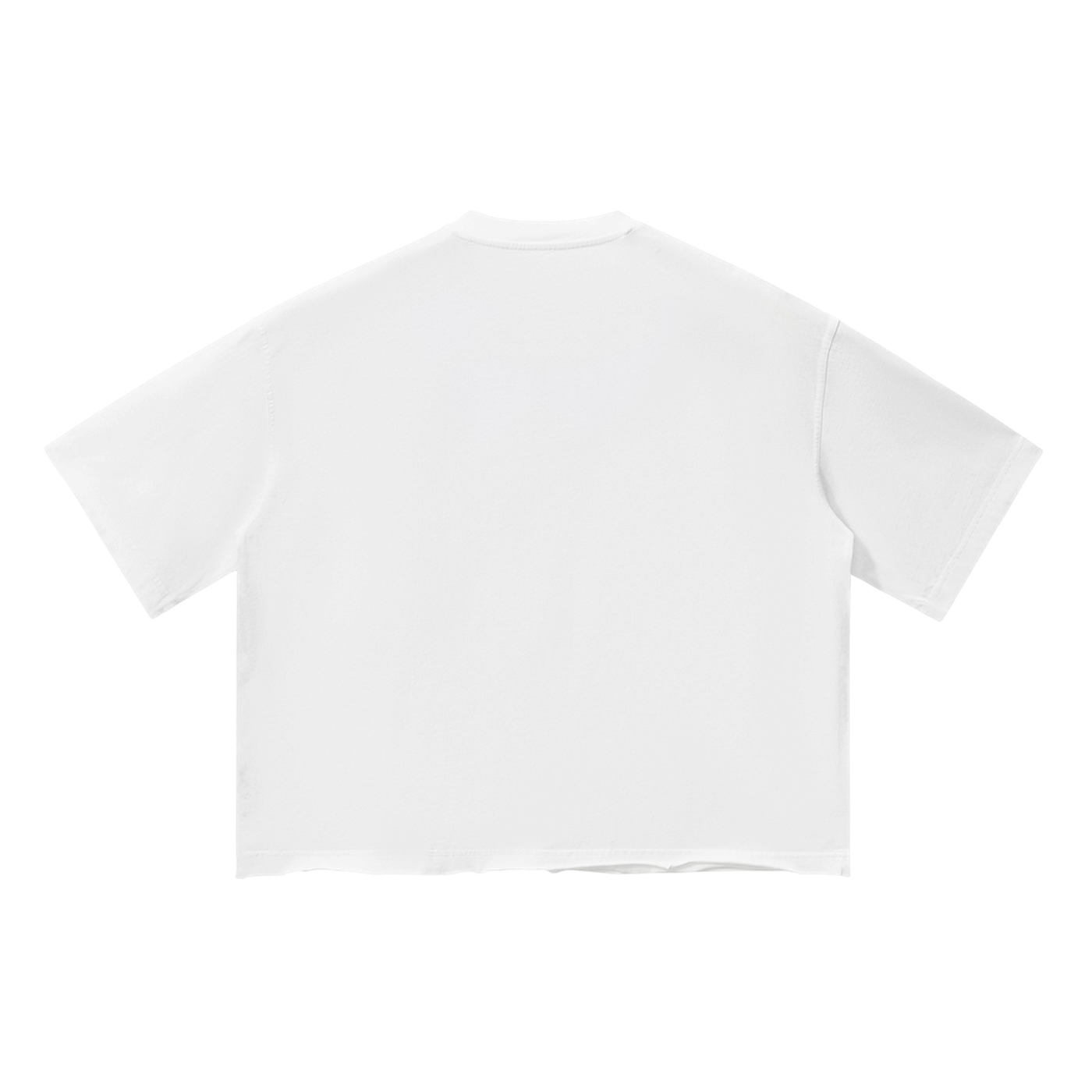 NEVER GIVE UP VINTAGE WASH TEE [WHITE]